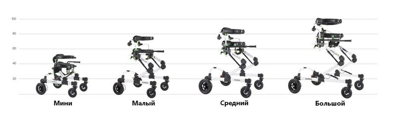 Тренажер поставляется в 4 размерах Тренажер поставляется в 4 размерах